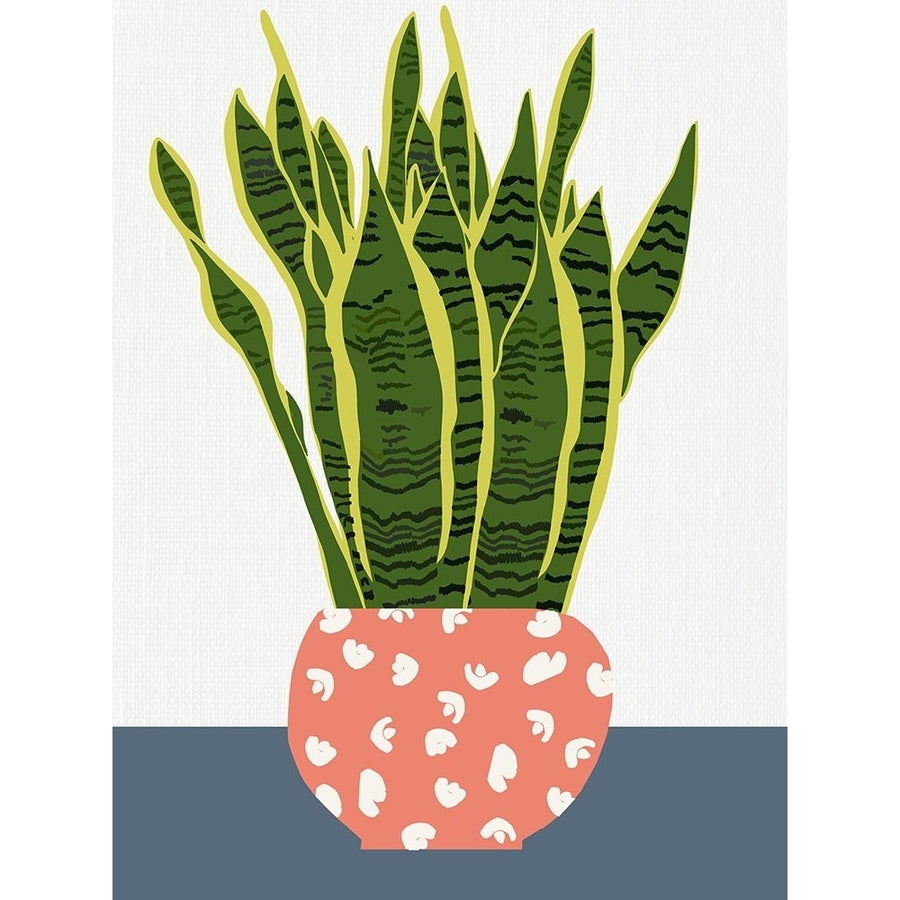 Potted Plant Poster Print - Jen Bucheli-VARPDX15693FA Image 1