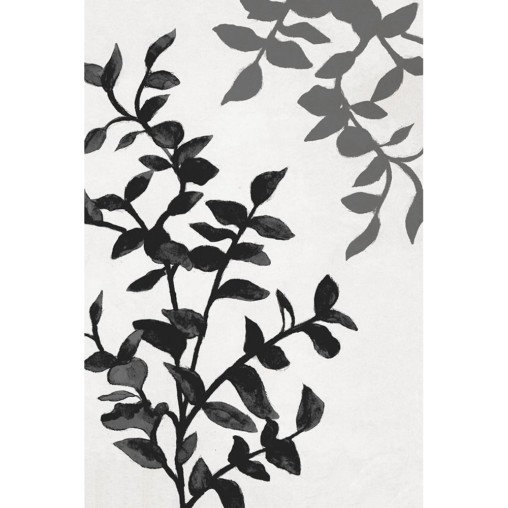 Botanical In Noir II Poster Print - Janice Gaynor-VARPDX15720LB Image 1