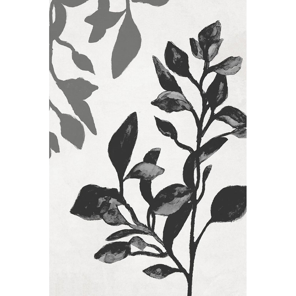 Botanical In Noir I Poster Print - Janice Gaynor-VARPDX15720KB Image 1