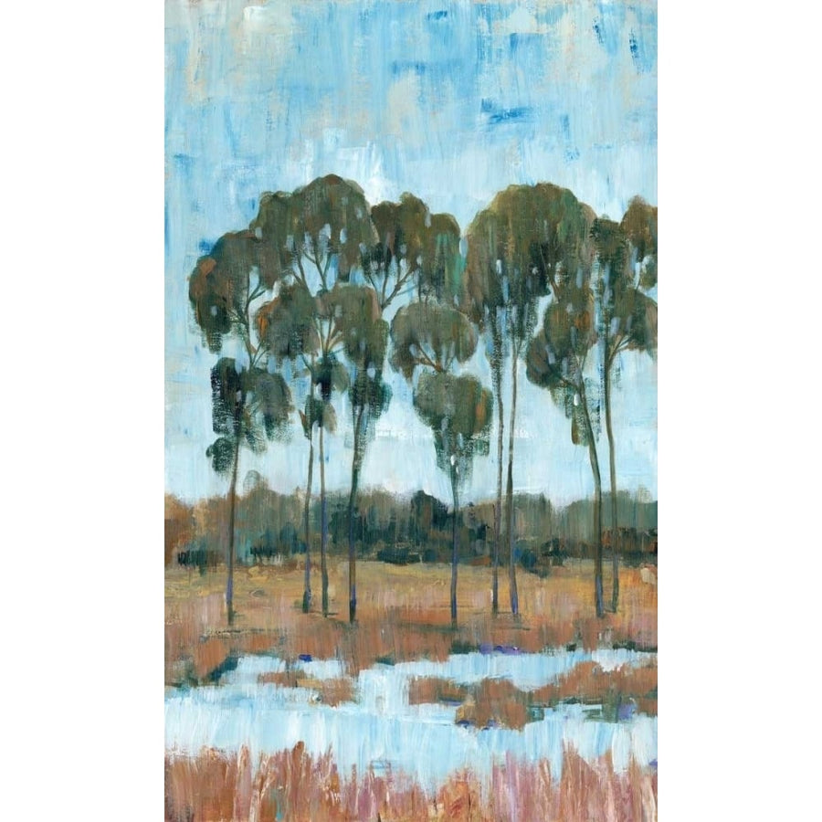 Trees in the Marsh II Poster Print - Tim OToole-VARPDX157539FN Image 1