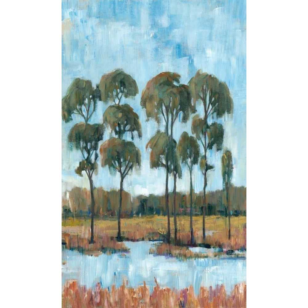 Trees in the Marsh I Poster Print - Tim OToole-VARPDX157538FN Image 1