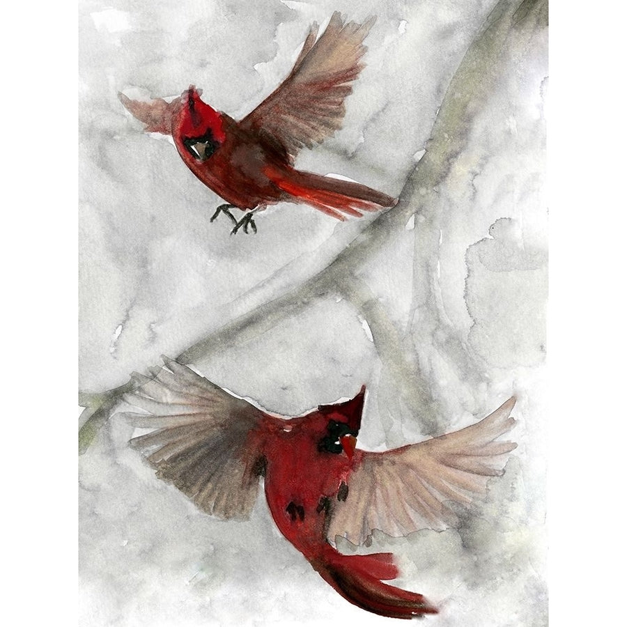 Cardinals I Poster Print - Design Studio Stellar-VARPDX157816Z Image 1