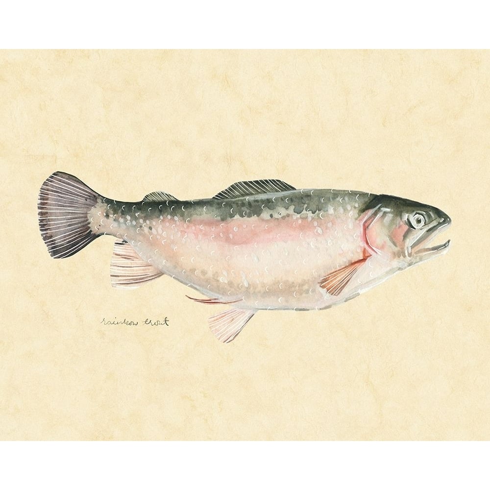 Catch of the Day III Poster Print - Emma Scarvey-VARPDX158020Z Image 1