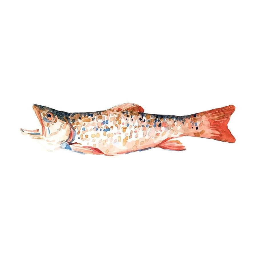 Freckled Trout I Poster Print - Emma Scarvey-VARPDX158024Z Image 1