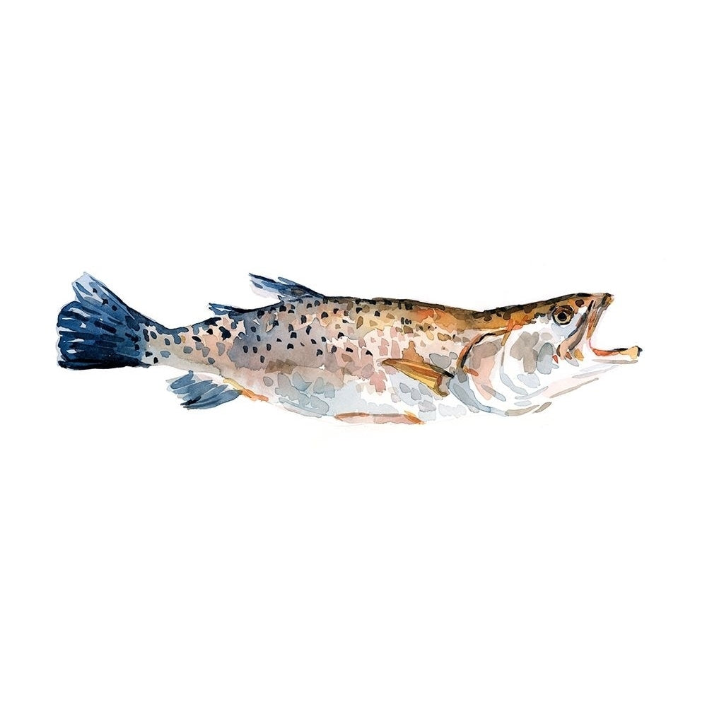 Freckled Trout II Poster Print - Emma Scarvey-VARPDX158025Z Image 1