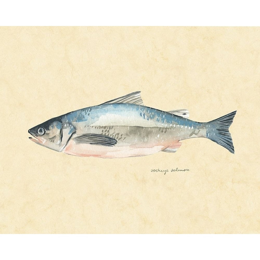 Catch of the Day IV Poster Print - Emma Scarvey-VARPDX158021Z Image 1