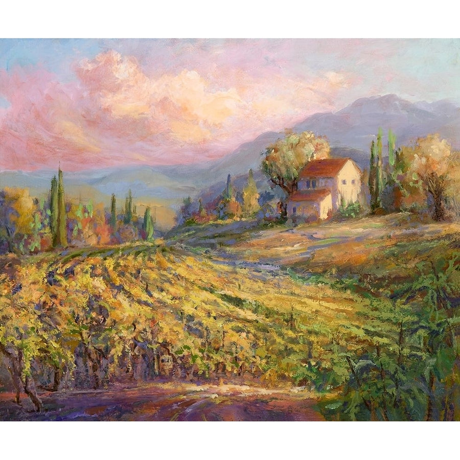 Tranquil Wine Country III Poster Print - Debbie Kiggins-VARPDX158038Z Image 1