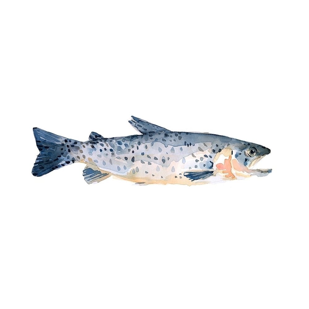 Freckled Trout IV Poster Print - Emma Scarvey-VARPDX158027Z Image 1