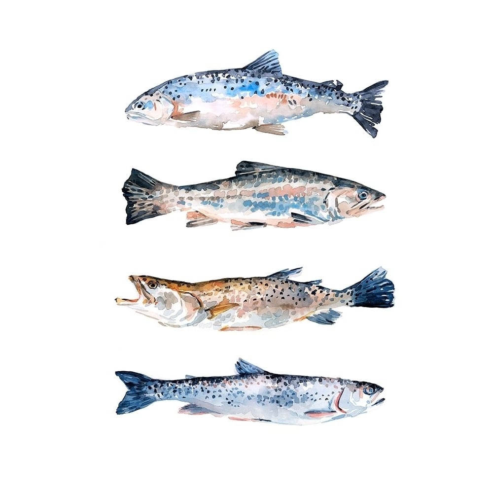 Stacked Trout II Poster Print - Emma Scarvey-VARPDX158140Z Image 1