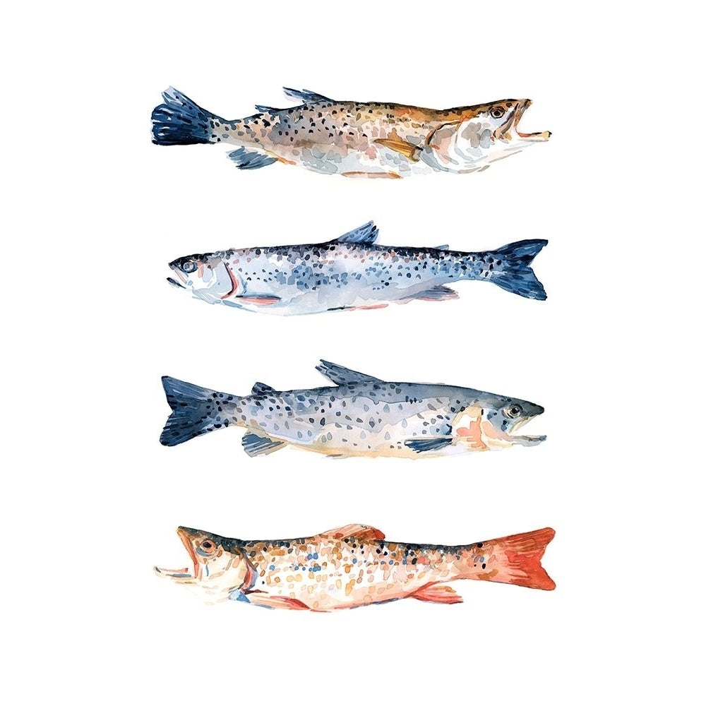 Stacked Trout I Poster Print - Emma Scarvey-VARPDX158139Z Image 1