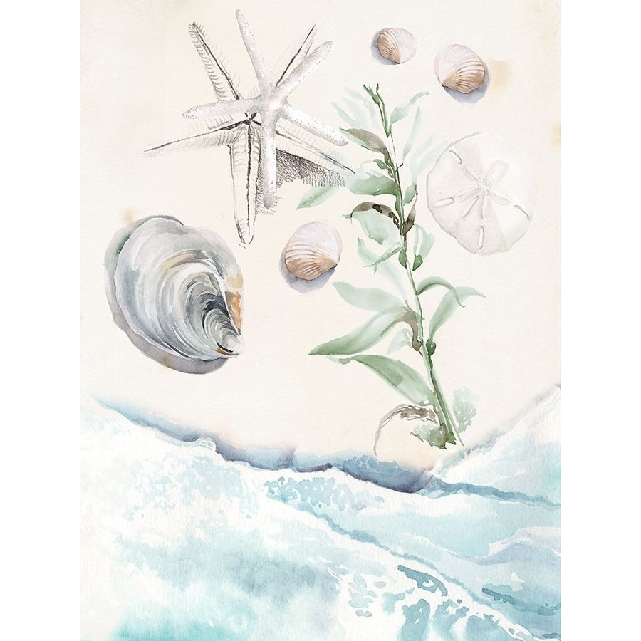 Washing Ashore II Poster Print - Jennifer Paxton Parker-VARPDX158721D Image 1