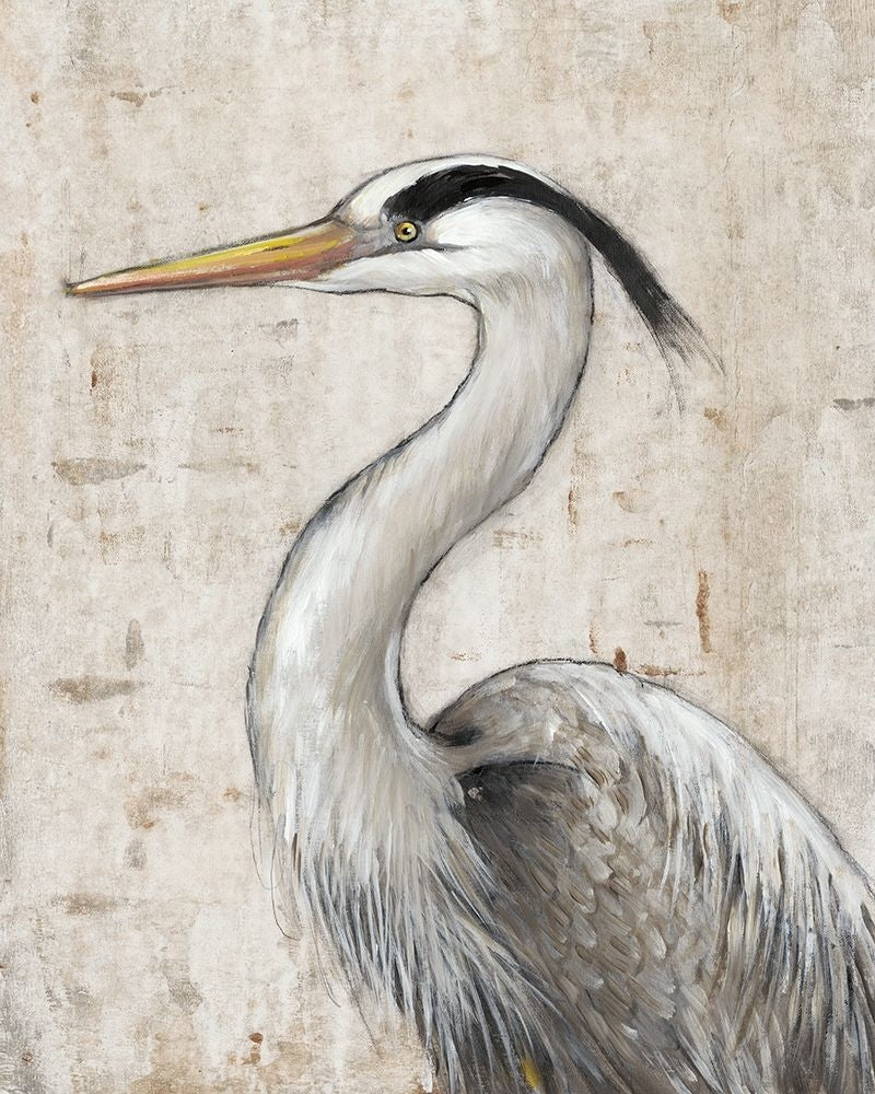 Grey Heron II Poster Print - Tim OToole-VARPDX158778FN Image 1