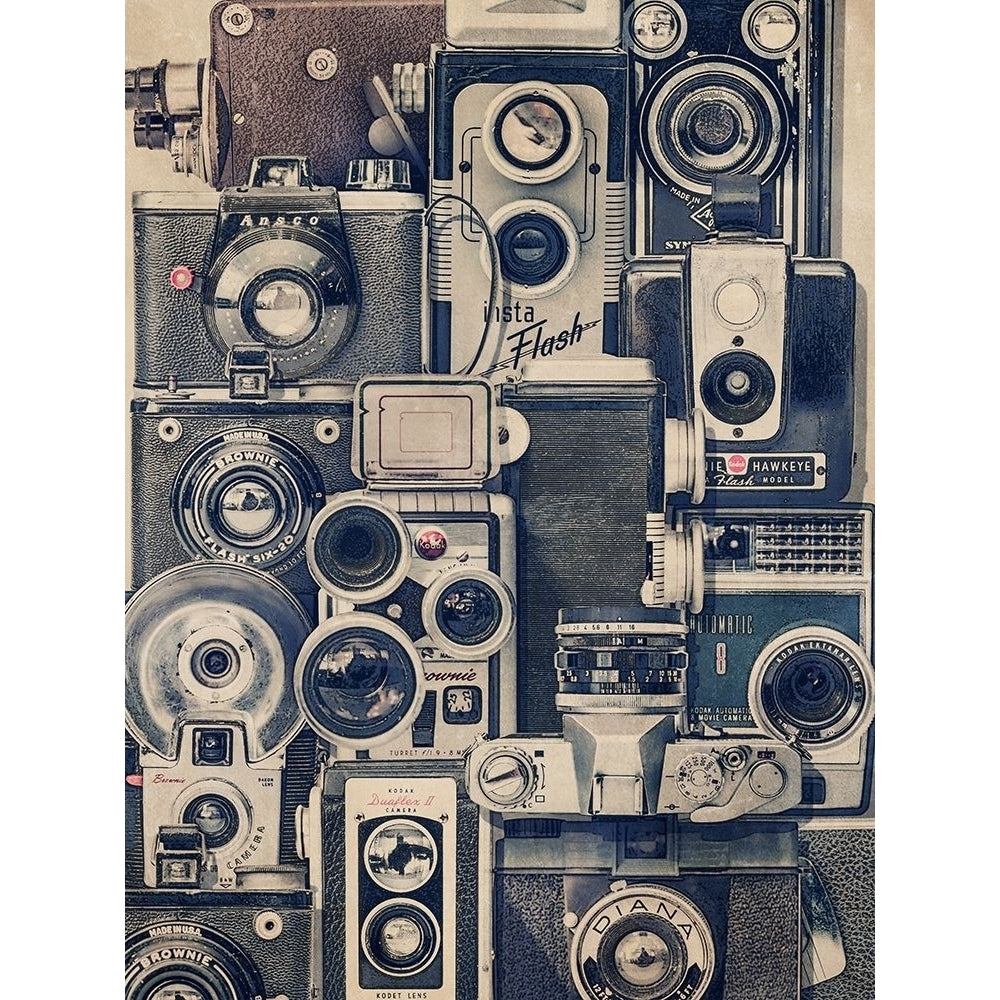 Vintage Cameras Poster Print - Thomas Brown-VARPDX158790Z Image 1