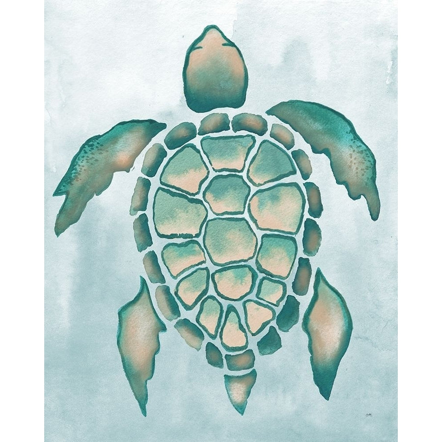 Aquatic Turtle I Poster Print by Elizabeth Medley-VARPDX15877 Image 1