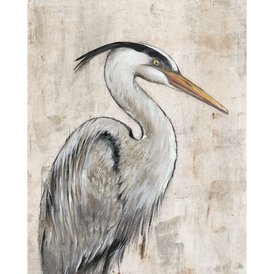 Grey Heron I Poster Print - Tim OToole-VARPDX158777FN Image 1