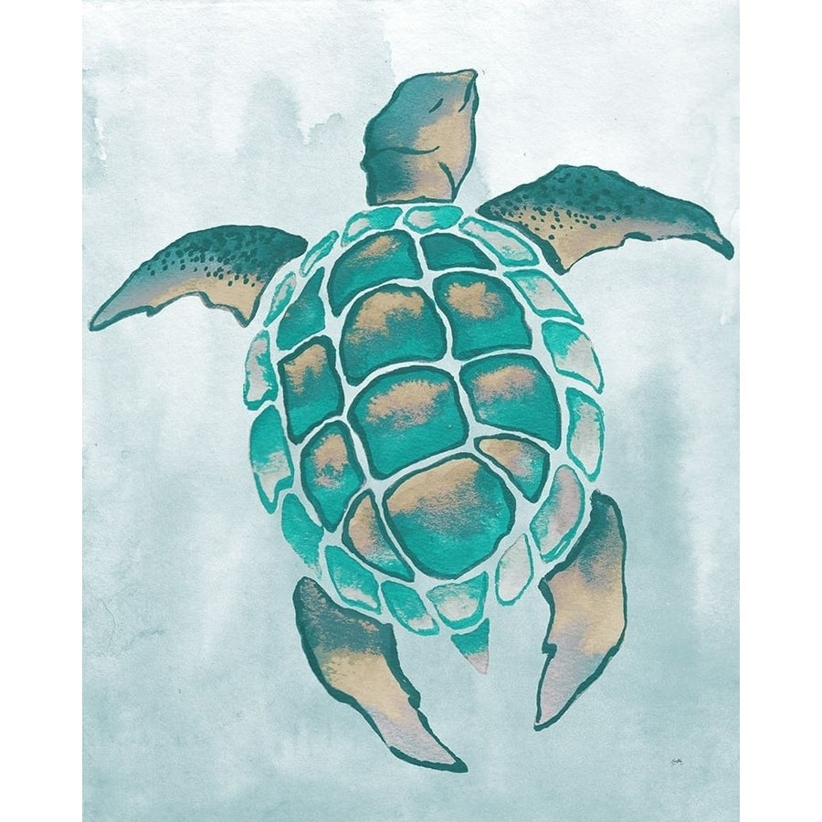 Aquatic Turtle II Poster Print by Elizabeth Medley-VARPDX15878 Image 1