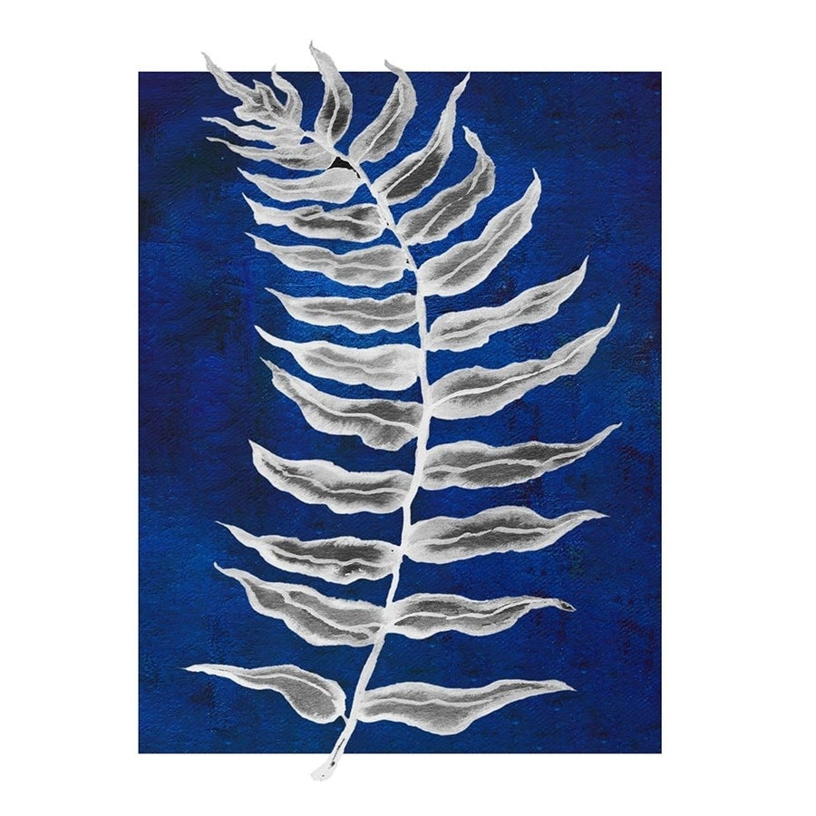 Blue Fern in White Border I Poster Print by Elizabeth Medley-VARPDX15881A Image 1