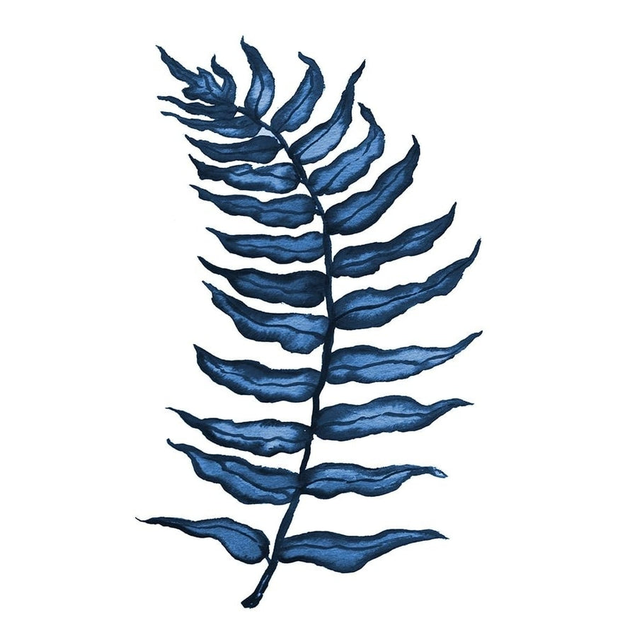 Blue Fern I Poster Print - Elizabeth Medley-VARPDX15881 Image 1