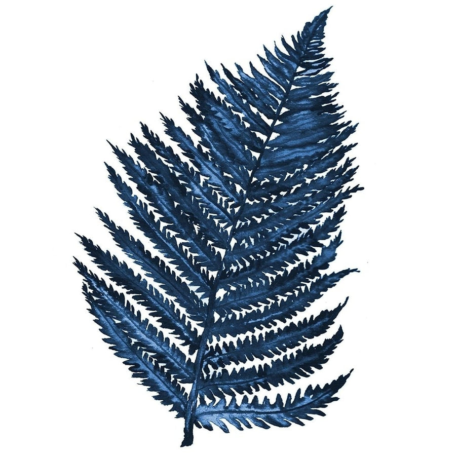 Blue Fern II Poster Print - Elizabeth Medley-VARPDX15882 Image 1