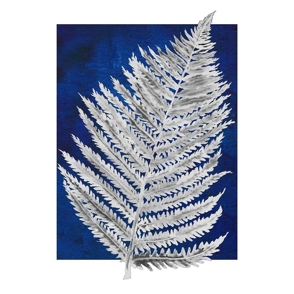 Blue Fern in White Border II Poster Print by Elizabeth Medley-VARPDX15882A Image 1