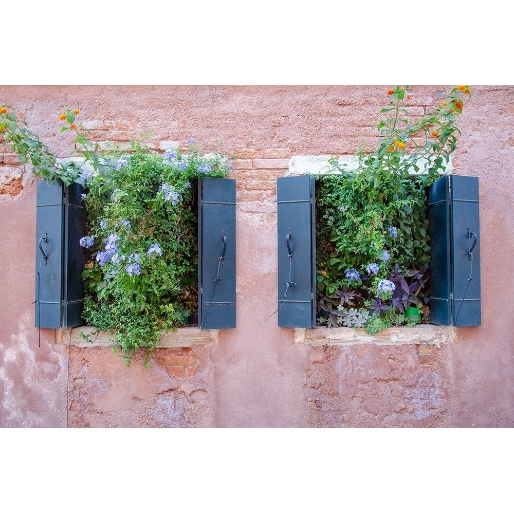 Italian Window Flowers II Poster Print - Laura DeNardo-VARPDX158828Z Image 1