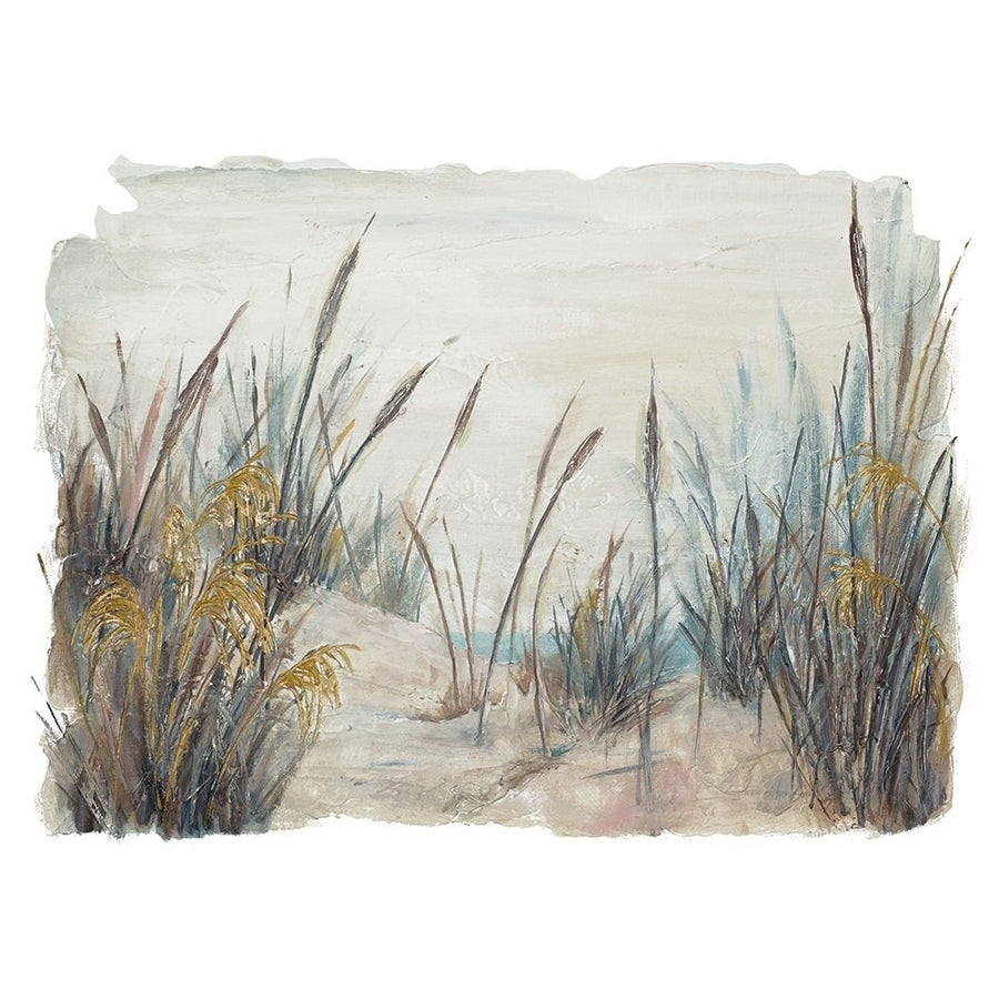 Tall Beach Grass Poster Print by Patricia Pinto-VARPDX15914 Image 1