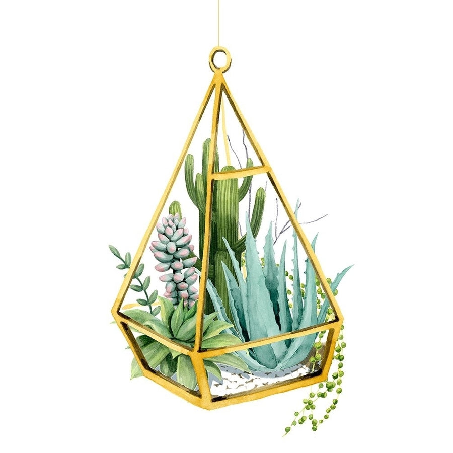 Wild Terrarium III Poster Print - Grace Popp-VARPDX159193D Image 1