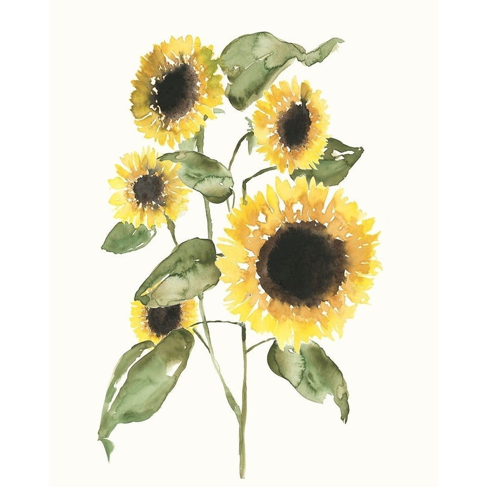 Sunflower Composition I Poster Print - Jennifer Goldberger-VARPDX159297Z Image 1