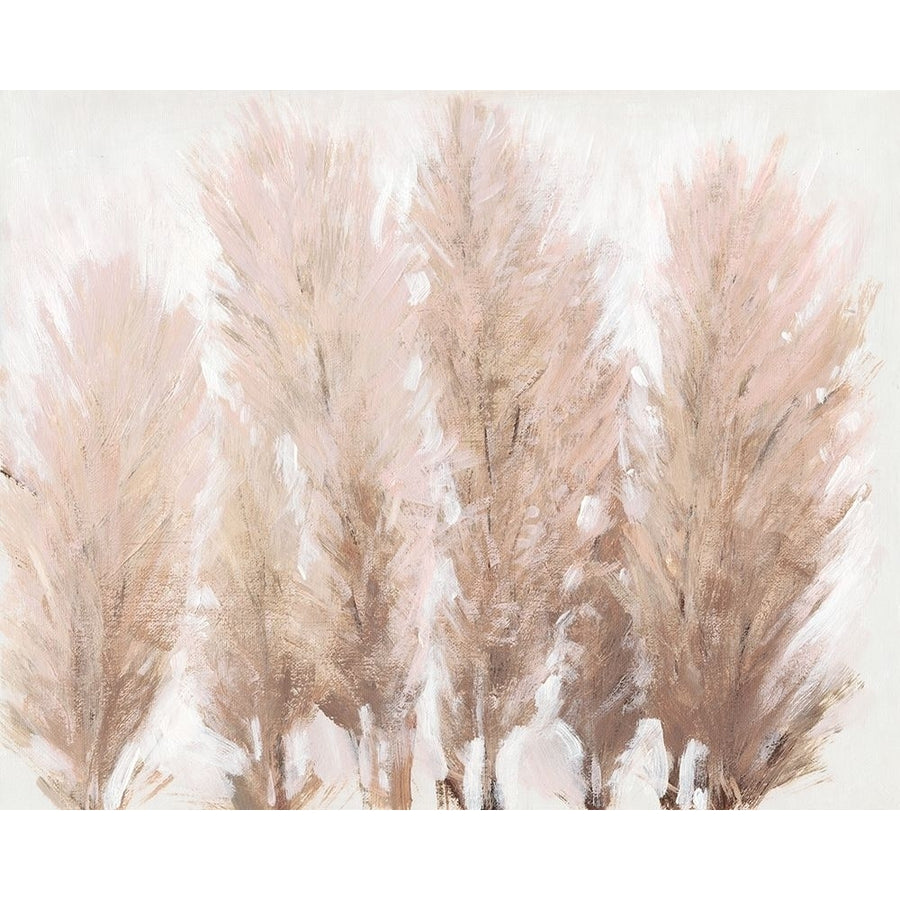 Pampas Grass II Poster Print - Tim OToole-VARPDX159316Z Image 1