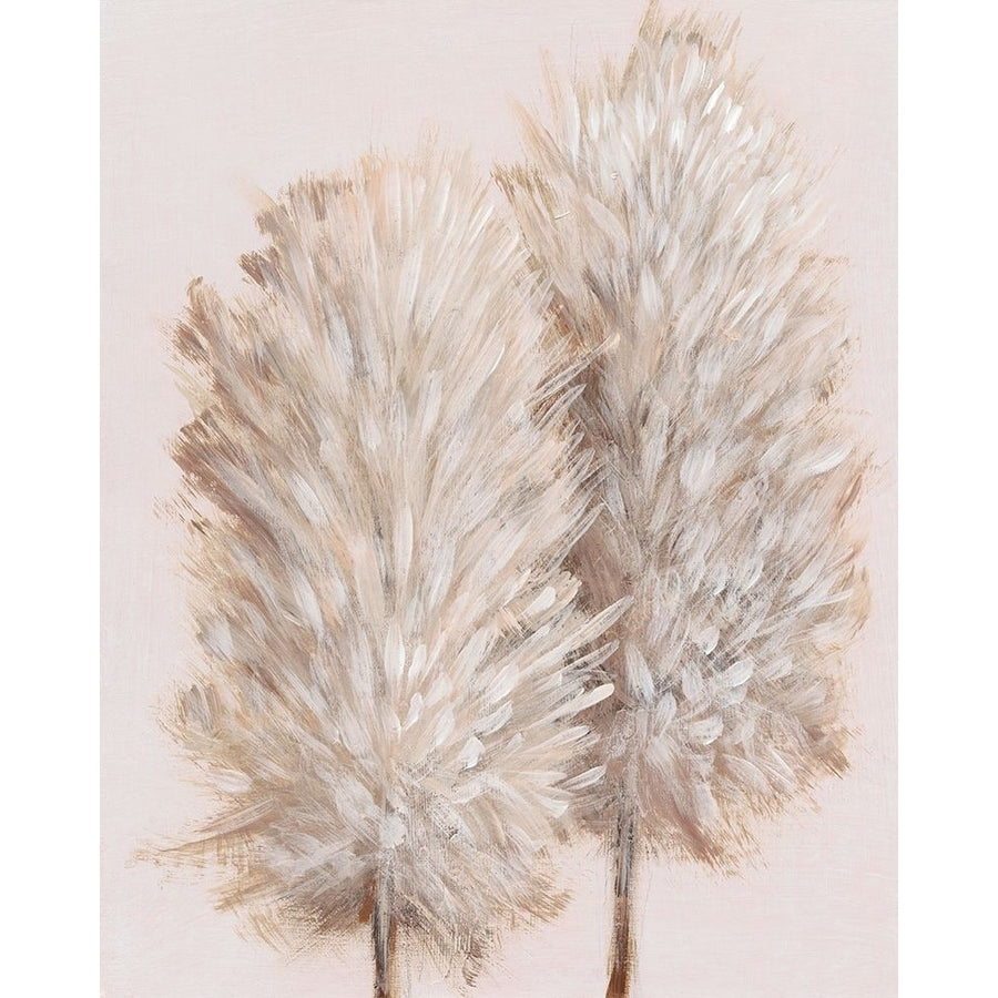 Pampas Grass III Poster Print - Tim OToole-VARPDX159317Z Image 1