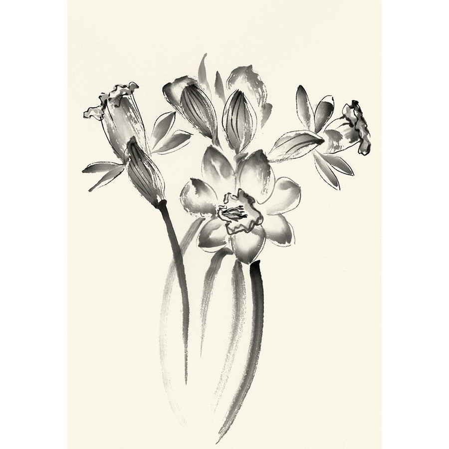 Ink Wash Floral I - Daffodils Poster Print - Nan Rae-VARPDX159433F Image 1