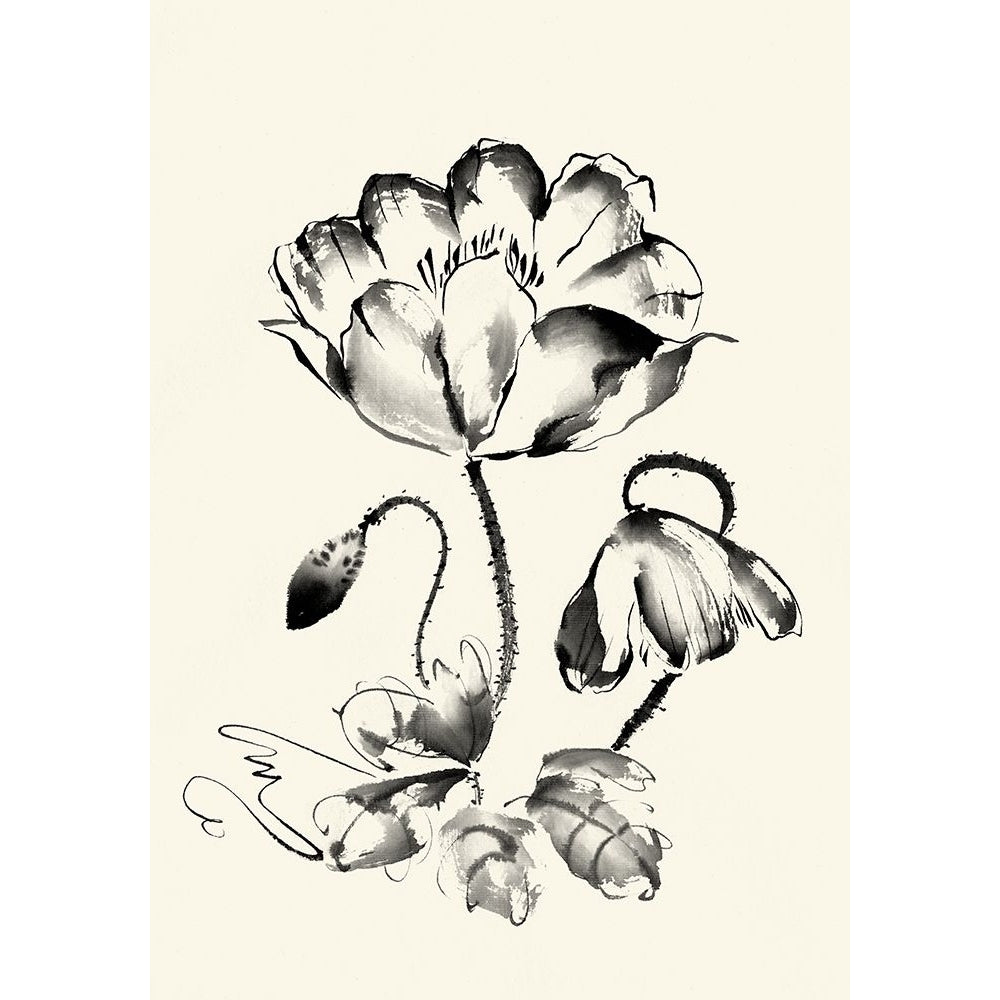 Ink Wash Floral IV - Poppy Poster Print - Nan Rae-VARPDX159436F Image 1