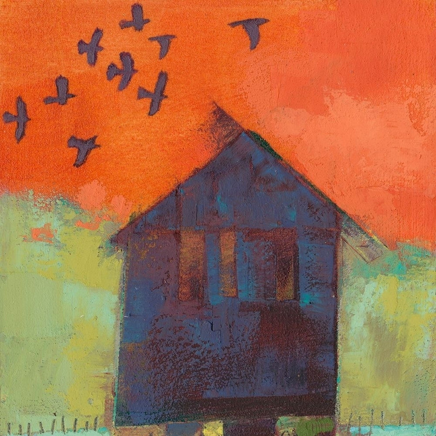 Bird Barn II Poster Print - Sue Jachimiec-VARPDX159454FN Image 1