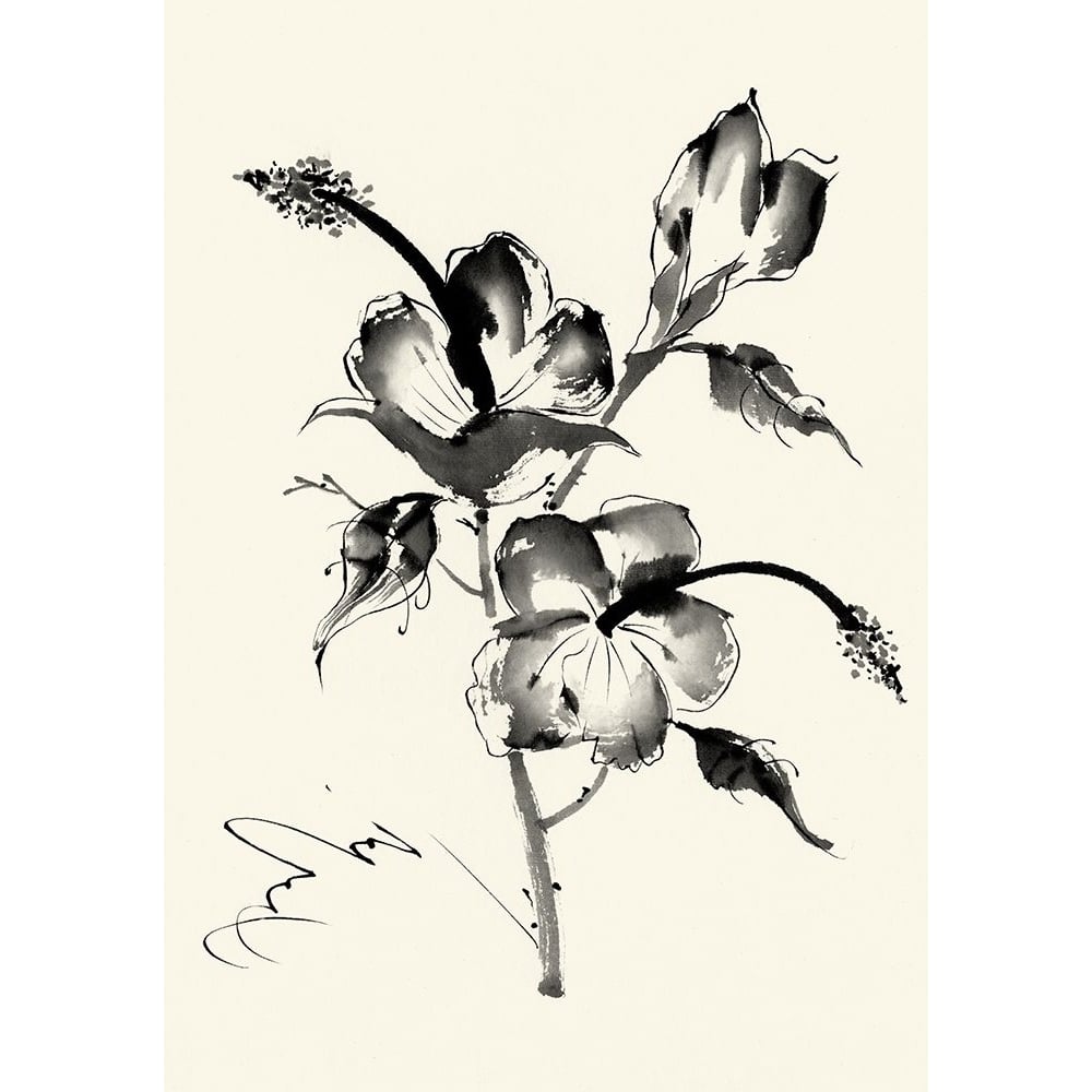 Ink Wash Floral III - Hibiscus Poster Print - Nan Rae-VARPDX159435F Image 1