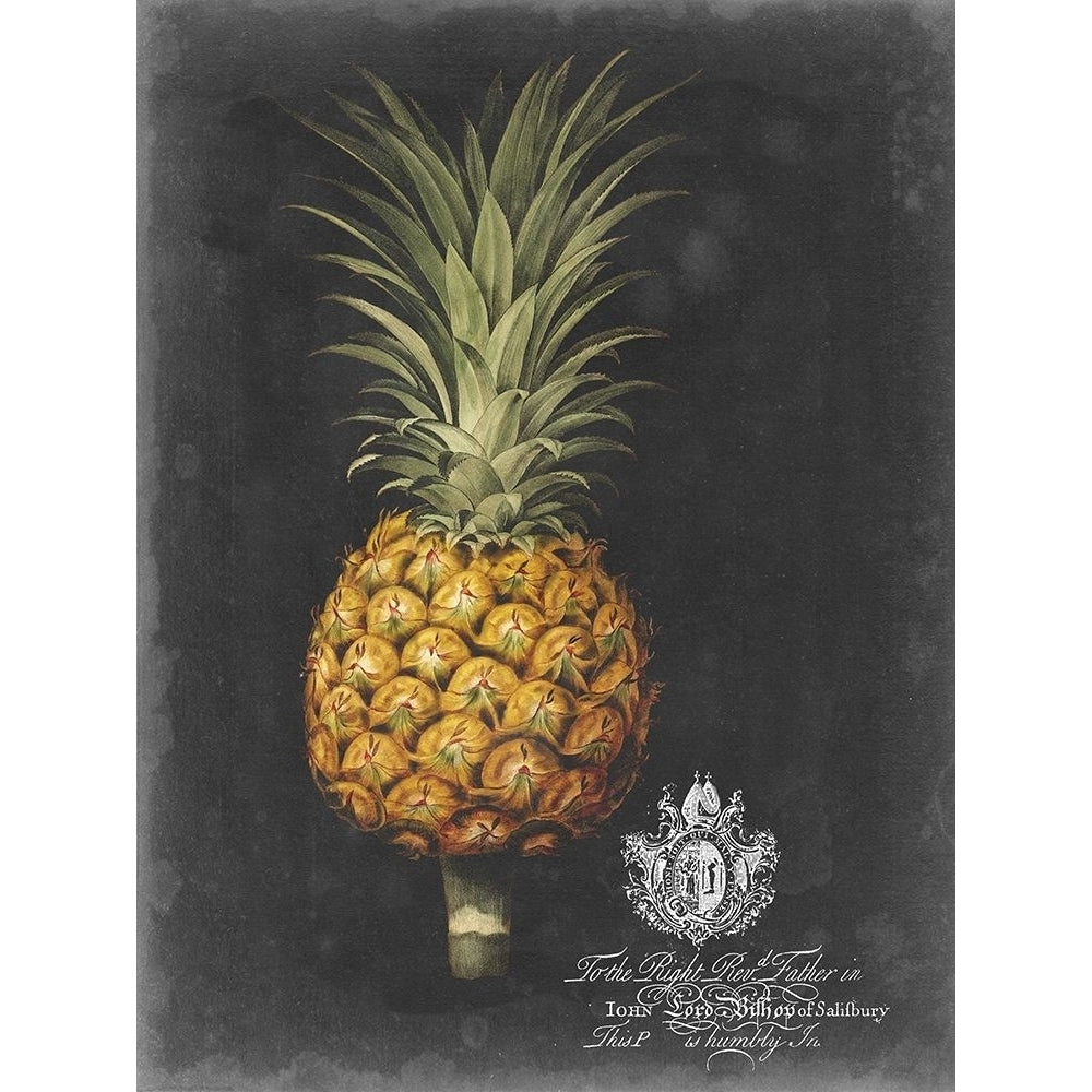 Royal Brookshaw Pineapple II Poster Print - George Brookshaw-VARPDX159703Z Image 1