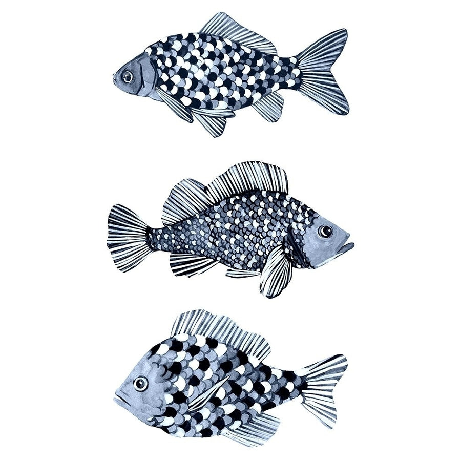 Blue Fish II Poster Print - Emma Scarvey-VARPDX159909D Image 1