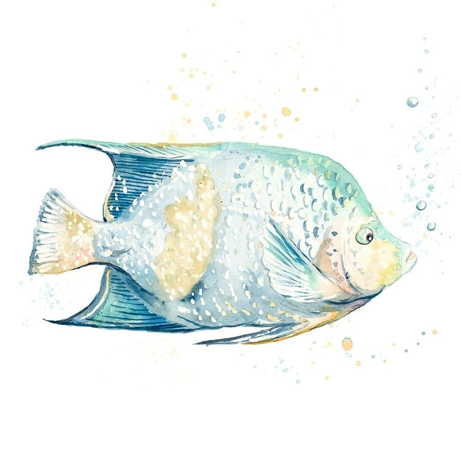 Pescado Azul Square by Patricia Pinto-VARPDX16004A Image 1