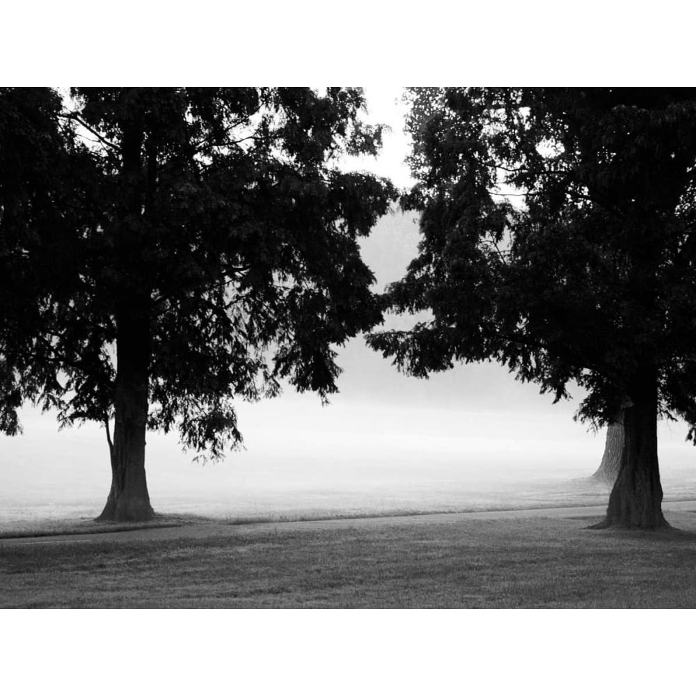 Fog in the Park II Poster Print by Gary Bydlo-VARPDX16002 Image 1