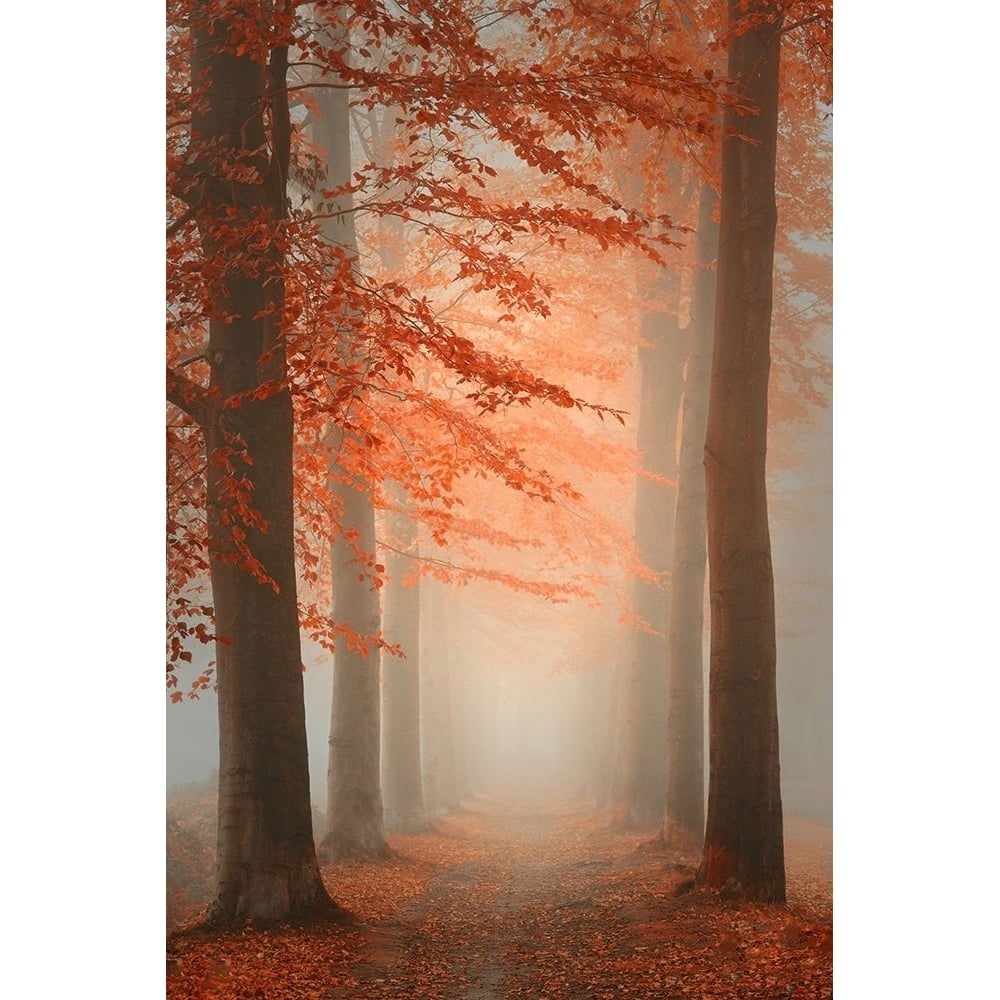 Autumn Dream Poster Print - Saskia Dingemans-VARPDX1601130 Image 1