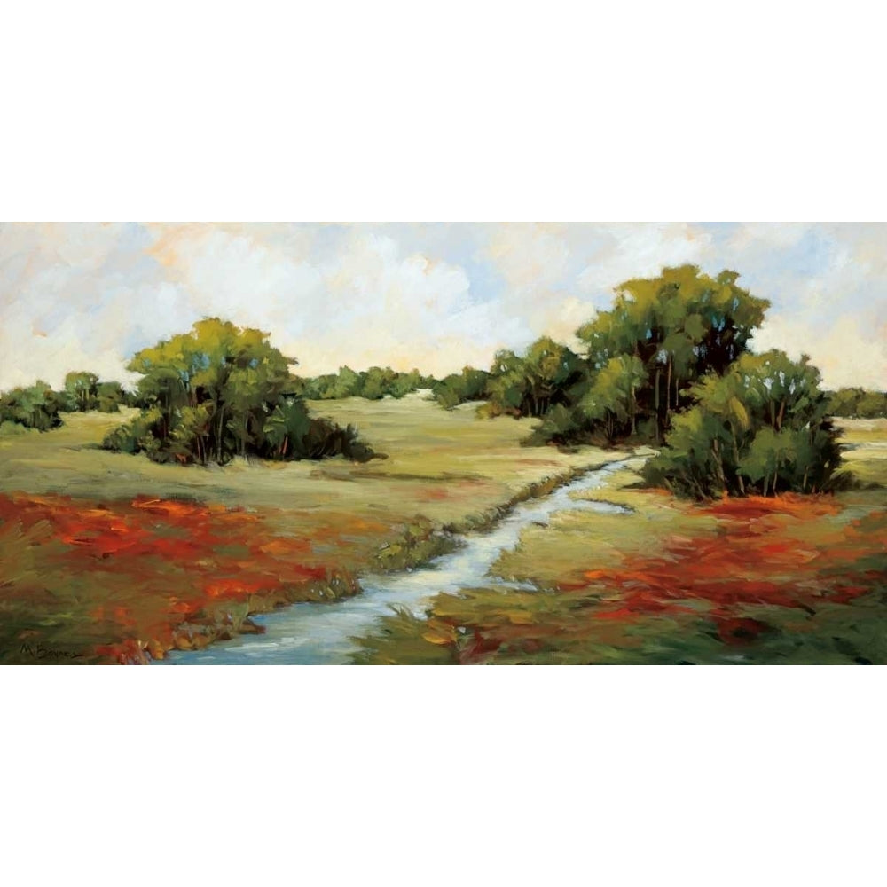 Kissimmee Grasslands Poster Print by Maija Baynes-VARPDX16043 Image 1