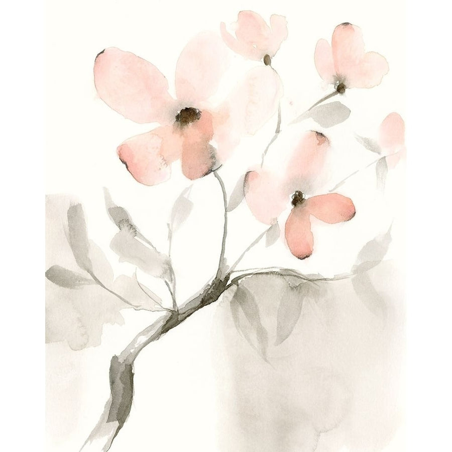 Dogwood Dream I Poster Print - Jennifer Goldberger-VARPDX160534FN Image 1