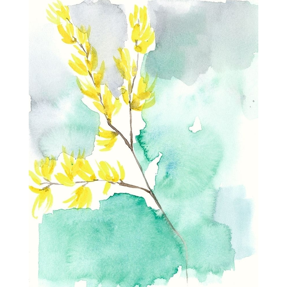 Forsythia Dreams I Poster Print - Jennifer Goldberger-VARPDX160538FN Image 1