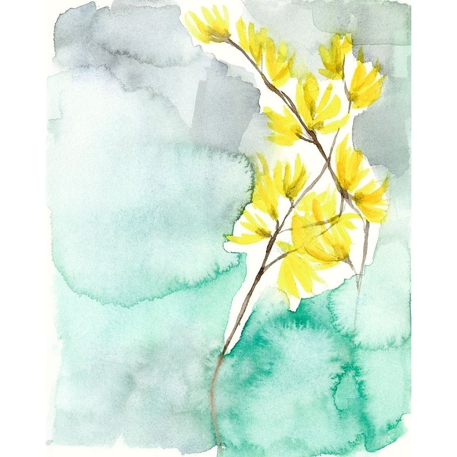 Forsythia Dreams II Poster Print - Jennifer Goldberger-VARPDX160539FN Image 1