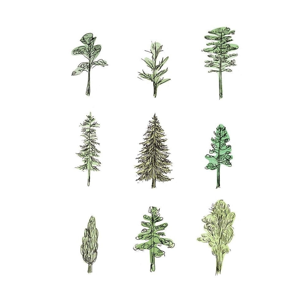 Collected Pines I Poster Print - Melissa Wang-VARPDX160738D Image 1