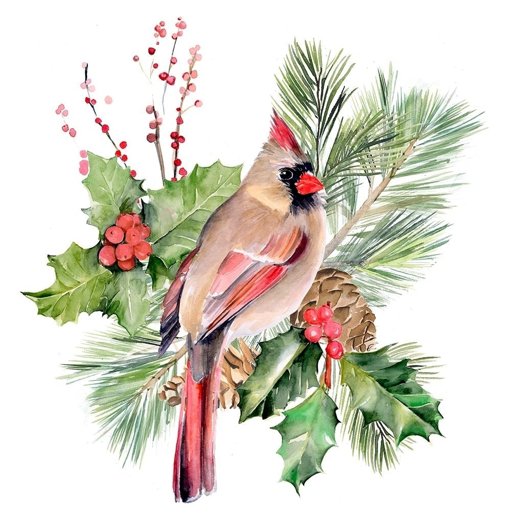 Cardinal Holly Christmas II Poster Print - Jennifer Paxton Parker-VARPDX160802D Image 1