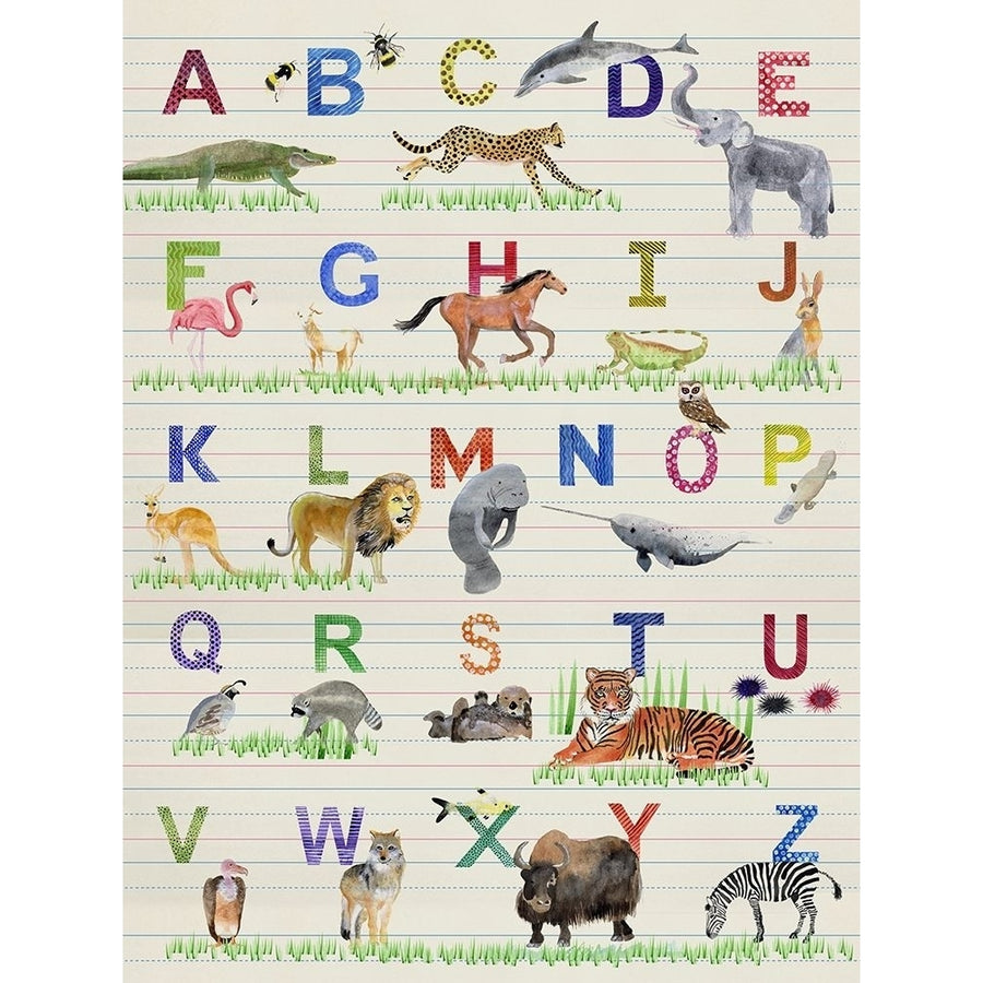 Alphabet Animals Poster Print - Alicia Ludwig-VARPDX161090Z Image 1