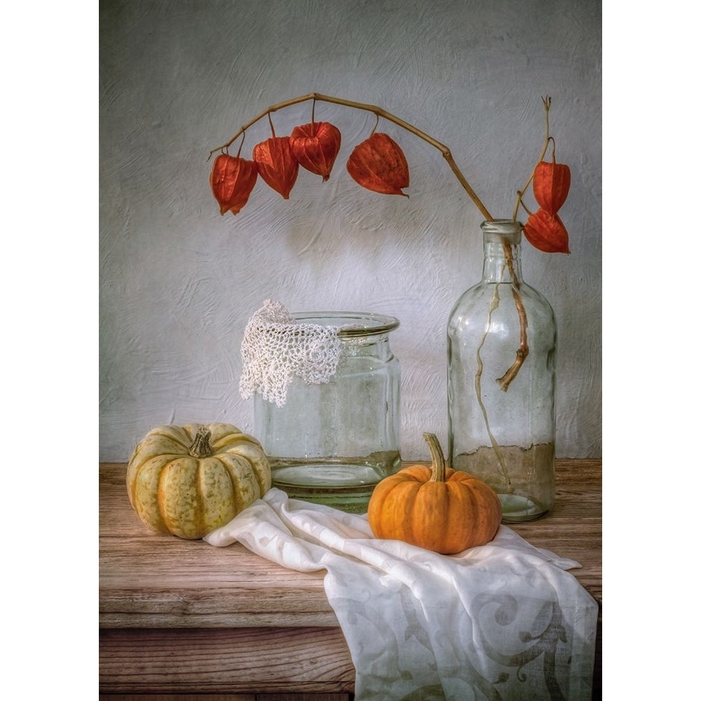 Still Life With Physalis And Pumpkin Poster Print - Mandy Disher-VARPDX1611885 Image 1