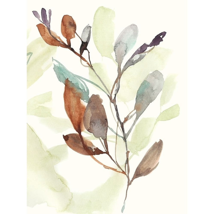 Rusty Sienna Leaves II Poster Print - Jennifer Goldberger-VARPDX161431FN Image 1