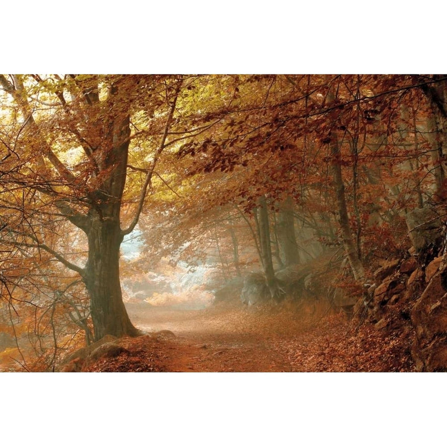 Autumn Dream Poster Print by Toni Vila-VARPDX16122 Image 1