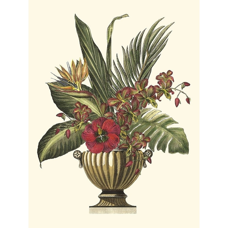 Tropical Foliage in Urn I Poster Print - Studio Vision-VARPDX16126Z Image 1